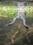 foto/forum/2011/th-img17215.jpg