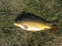 foto/forum/2011/th-img17228.jpg