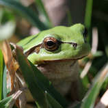 foto/forum/2011/th-img17240.jpg