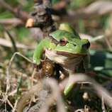 foto/forum/2011/th-img17241.jpg