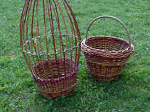 foto/forum/2011/th-img17249.jpg