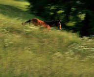 foto/forum/2011/th-img17254.jpg