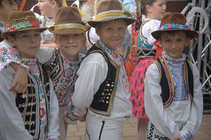 foto/forum/2011/th-img17263.jpg