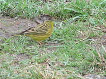 foto/forum/2011/th-img17273.jpg