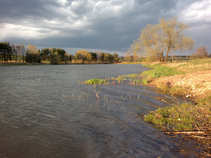 foto/forum/2011/th-img17288.jpg