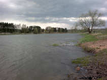 foto/forum/2011/th-img17289.jpg