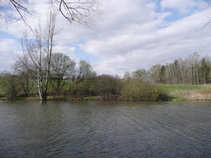 foto/forum/2011/th-img17295.jpg