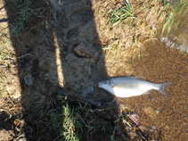 foto/forum/2011/th-img17299.jpg