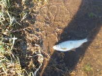 foto/forum/2011/th-img17300.jpg