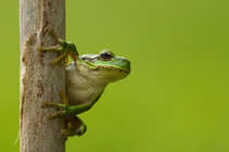 foto/forum/2011/th-img17314.jpg