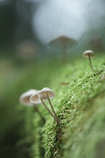 foto/forum/2011/th-img17316.jpg