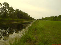foto/forum/2011/th-img17320.jpg