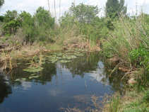 foto/forum/2011/th-img17321.jpg