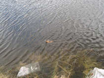 foto/forum/2011/th-img17323.jpg