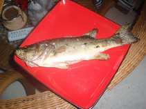 foto/forum/2011/th-img17331.jpg