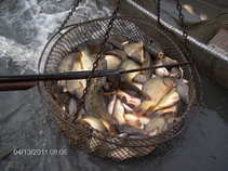 foto/forum/2011/th-img17333.jpg