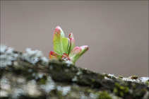foto/forum/2011/th-img17335.jpg