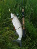 foto/forum/2011/th-img17338.jpg