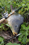 foto/forum/2011/th-img17346.jpg