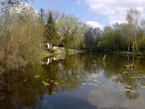 foto/forum/2011/th-img17347.jpg