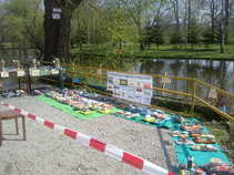 foto/forum/2011/th-img17349.jpg