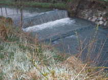 foto/forum/2011/th-img17353.jpg