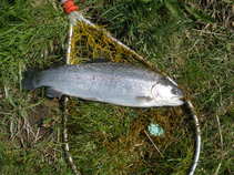 foto/forum/2011/th-img17354.jpg