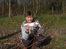 foto/forum/2011/th-img17356.jpg