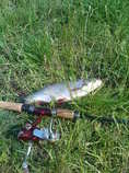 foto/forum/2011/th-img17371.jpg