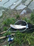 foto/forum/2011/th-img17386.jpg
