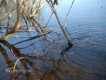 foto/forum/2011/th-img17392.jpg