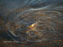 foto/forum/2011/th-img17395.jpg