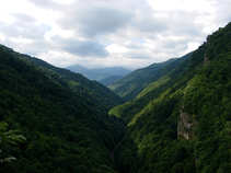 foto/forum/2011/th-img17397.jpg