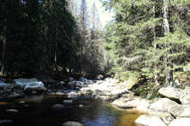 foto/forum/2011/th-img17411.jpg