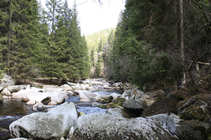 foto/forum/2011/th-img17412.jpg