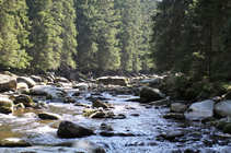 foto/forum/2011/th-img17413.jpg
