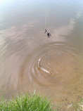foto/forum/2011/th-img17414.jpg