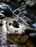 foto/forum/2011/th-img17415.jpg