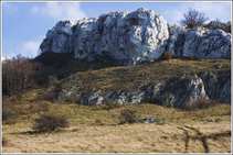 foto/forum/2011/th-img17418.jpg