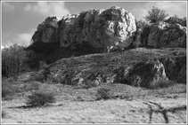 foto/forum/2011/th-img17419.jpg