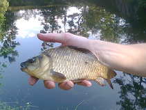 foto/forum/2011/th-img17422.jpg