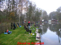 foto/forum/2011/th-img17436.jpg