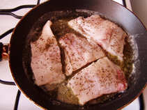 foto/forum/2011/th-img17439.jpg