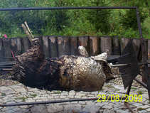 foto/forum/2011/th-img17448.jpg