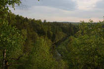 foto/forum/2011/th-img17466.jpg