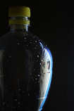 foto/forum/2011/th-img17469.jpg