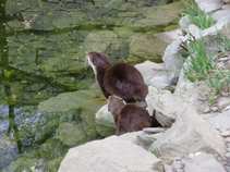 foto/forum/2011/th-img17476.jpg