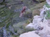 foto/forum/2011/th-img17477.jpg