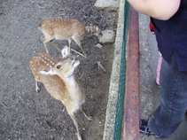 foto/forum/2011/th-img17483.jpg