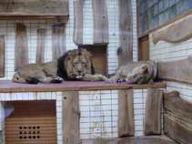 foto/forum/2011/th-img17496.jpg